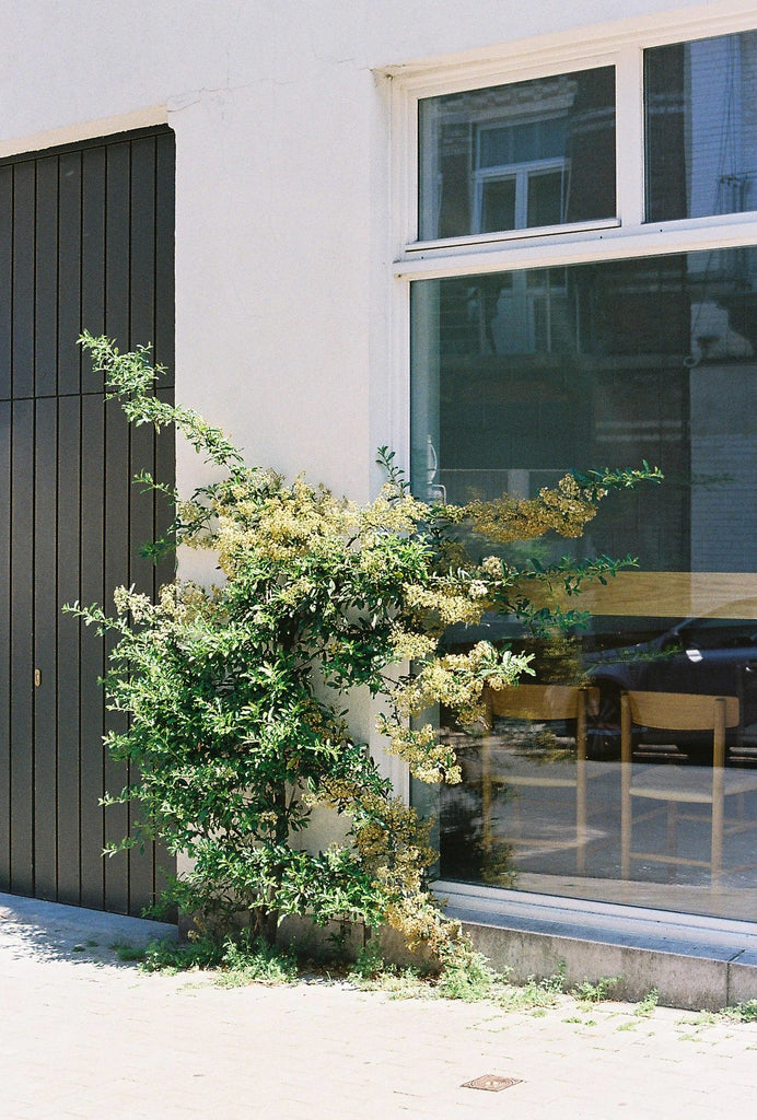 Terrace Apartment - Main Image